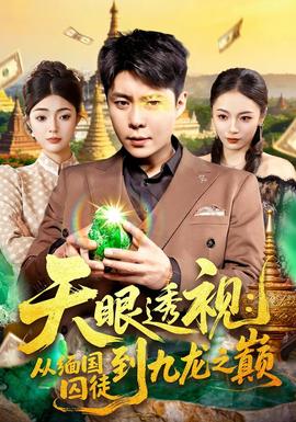 天眼透视：从缅国囚徒到九龙之巅封面图