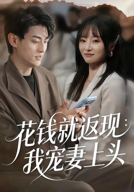 花钱就返现：我宠妻上头封面图