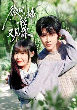 微风轻拂又见你封面图