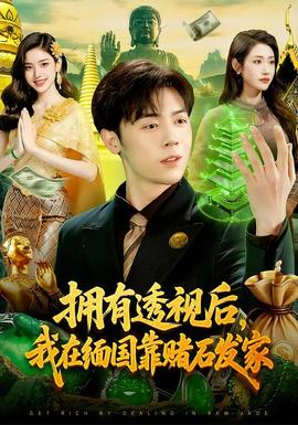 拥有透视后，我在缅国靠赌石发家封面图