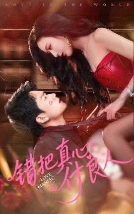 错把真心付良人封面图