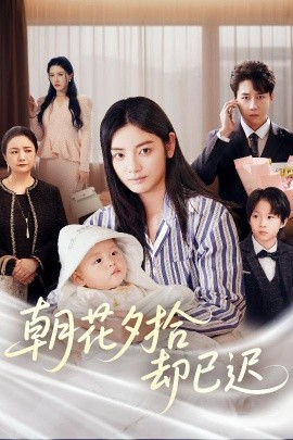 朝花夕拾却已迟封面图