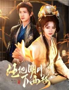 任他明月下西楼封面图