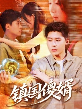 镇国傻婿封面图