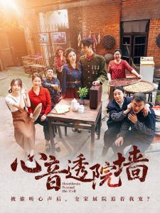 心音透院墙封面图