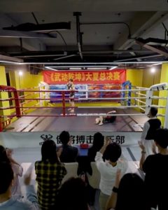 武驰人生2之飓风营救封面图