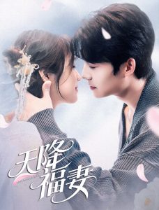 天降福妻封面图