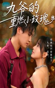 九爷的重燃小玫瑰封面图