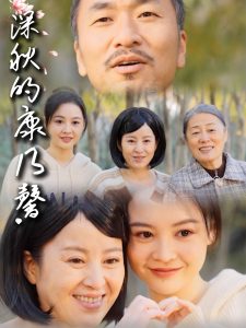 深秋的康乃馨封面图