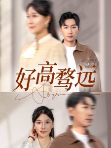 好高骛远封面图