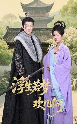 浮生若梦欢几何封面图