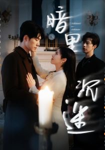 暗里沉迷封面图