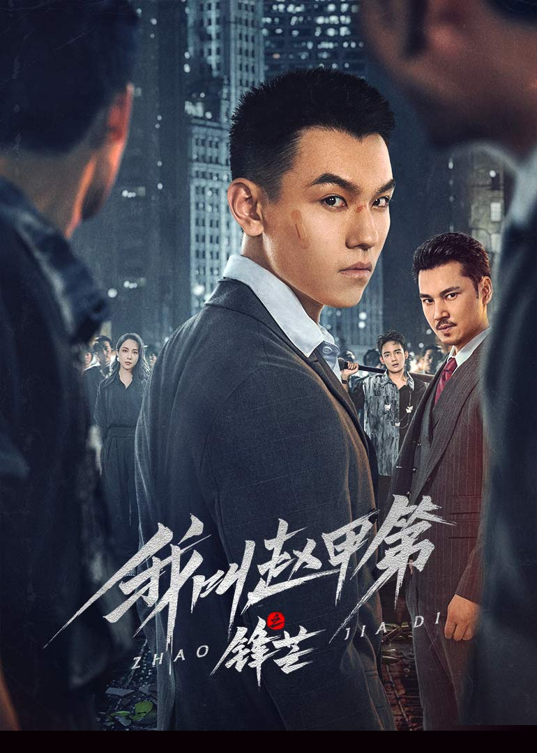 我叫赵甲第之锋芒封面图