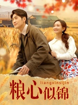 粮心似锦封面图