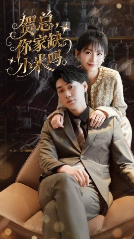 贺总你家缺小米吗封面图