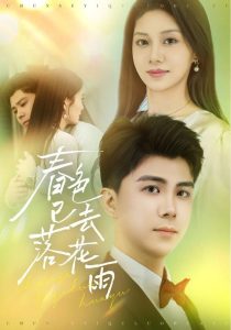 春色已去落花雨封面图