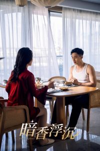 暗香浮沉封面图