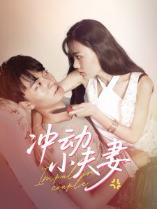冲动小夫妻封面图