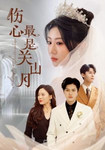 伤心最是关山月封面图