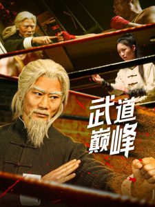 武道巅峰封面图