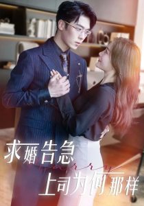 求婚告急上司为何那样封面图