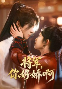 将军，你好娇啊封面图