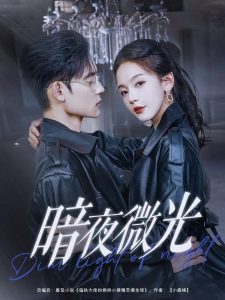 暗夜微光封面图