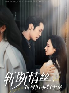 斩断情丝，我与旧事归于尽封面图