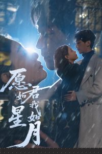 愿君如星我如月封面图