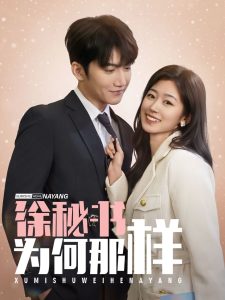 徐秘书为何那样封面图