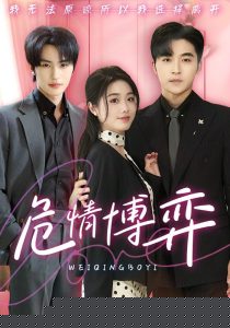 危情博弈封面图