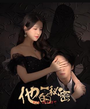 他的秘密封面图