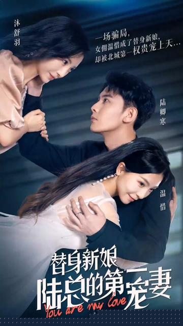 替嫁新娘陆总的第一宠妻封面图