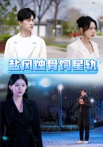 盐风蚀骨饲星轨封面图