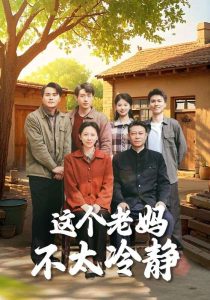 这个老妈不太冷静封面图