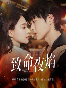 致命夜焰封面图