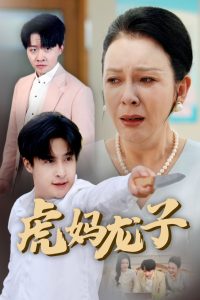 虎妈龙子封面图