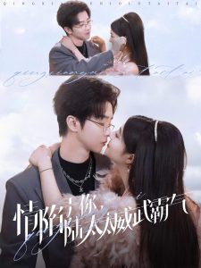 情陷于你，陆太太威武霸气封面图