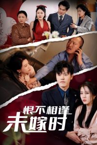 恨不相逢未嫁时30集封面图