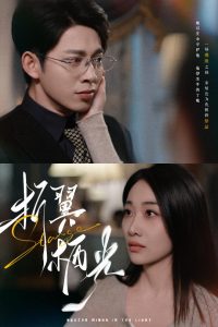 折翼栖光封面图