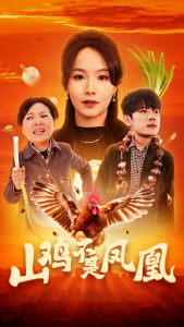 山鸡不是凤凰封面图