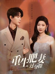 重生肥妻过分撩封面图