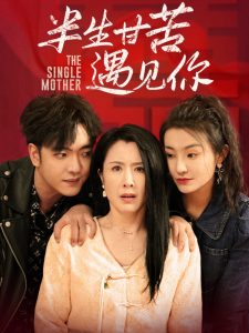 半生甘苦遇见你封面图