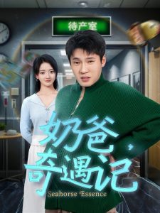 奶爸奇遇记封面图