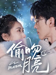 偷吻月亮封面图