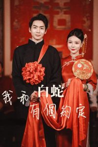 我和白蛇有个约定封面图