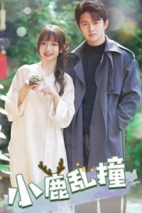 小鹿乱撞封面图