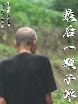 最后一颗子弹封面图