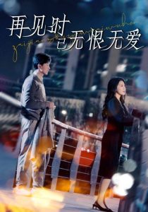 再见时已无恨无爱封面图