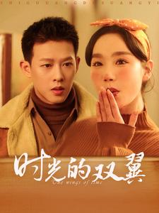 时光的双翼封面图